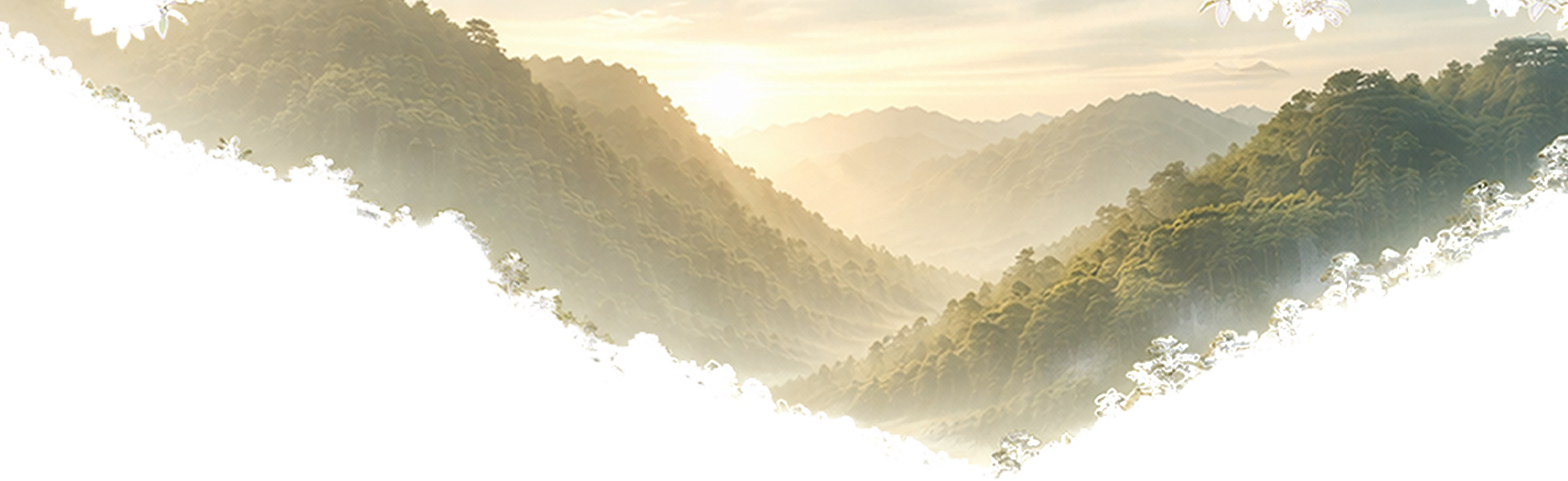 Decorative Top Layer